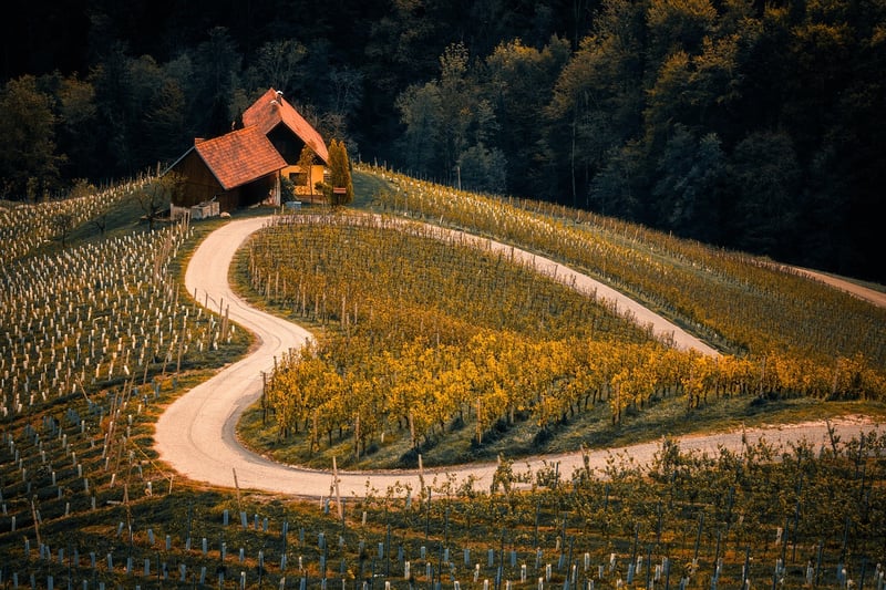 Travel Destination
